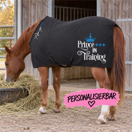 ABSCHWITZDECKE<BR> „PRINCE IN TRAINING" <br> PERSONALISIERBAR