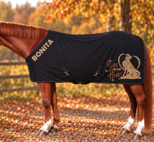 ASCHWITZDECKE LEO<BR> „SLIDE INTO MY HEART" <br> PERSONALISIERBAR